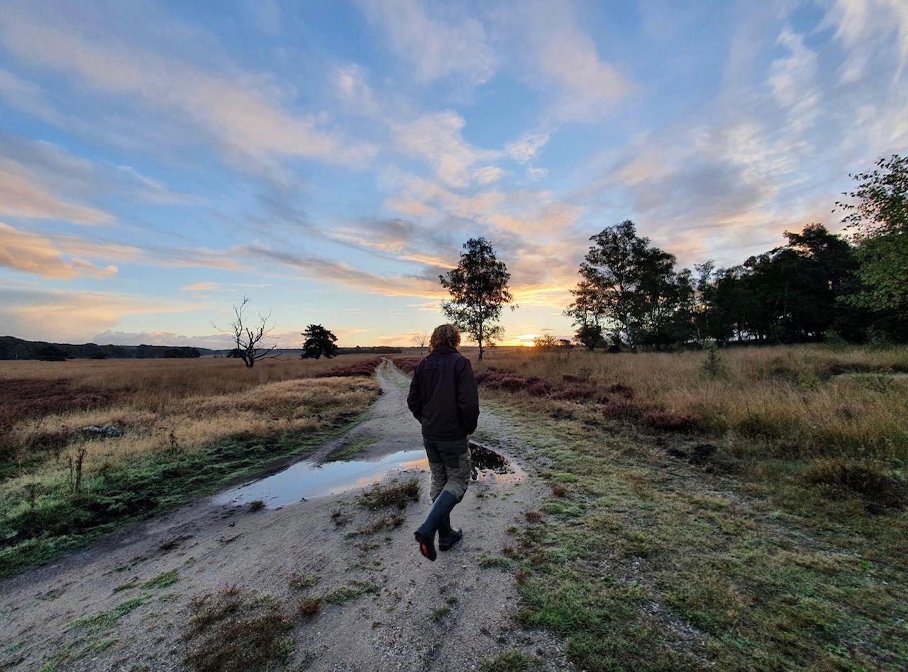 WildWise Natuurexpedities wilde Veluwe